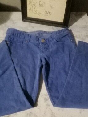Express Cropped Pants in Blue